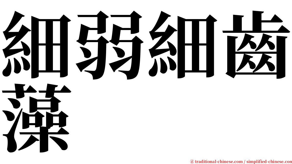 細弱細齒藻 serif font