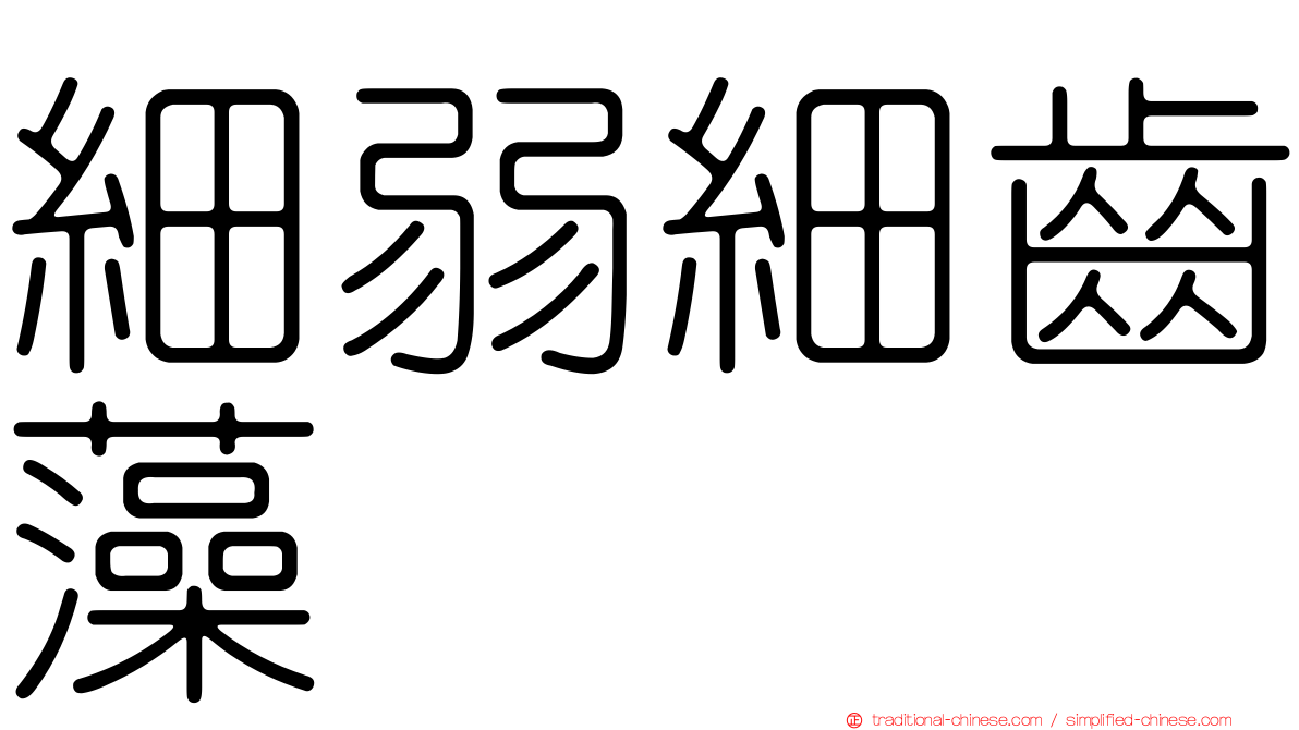 細弱細齒藻