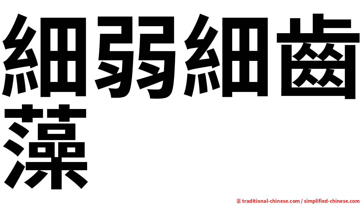 細弱細齒藻