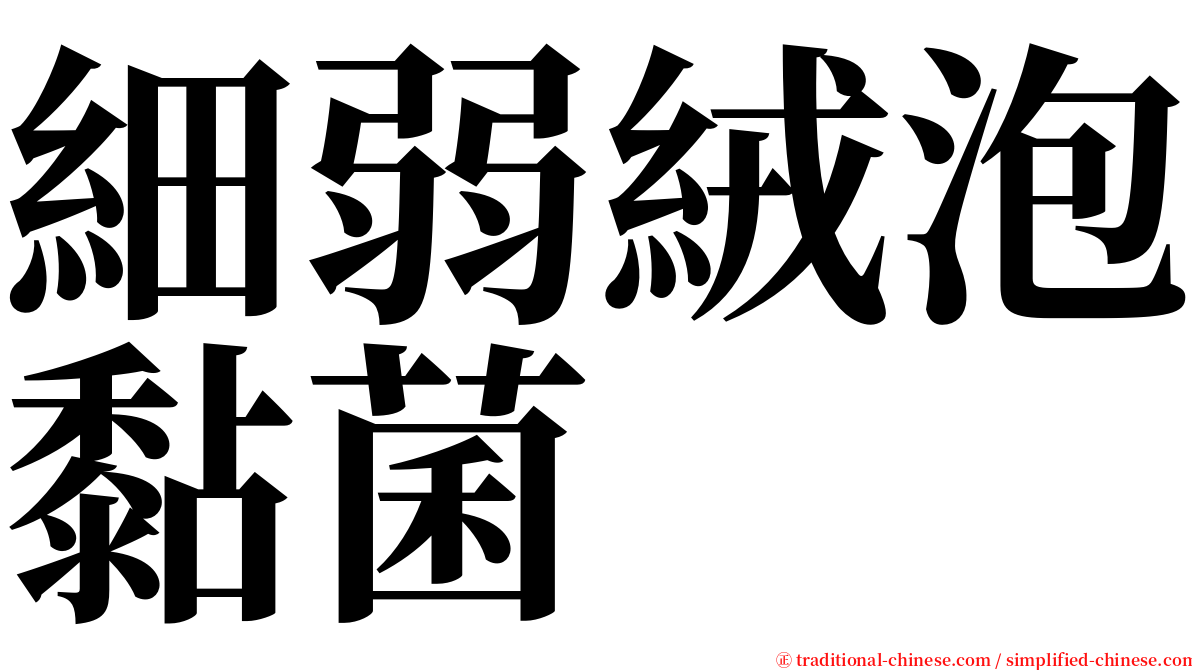 細弱絨泡黏菌 serif font