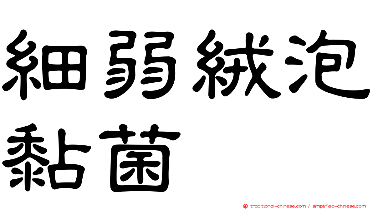 細弱絨泡黏菌