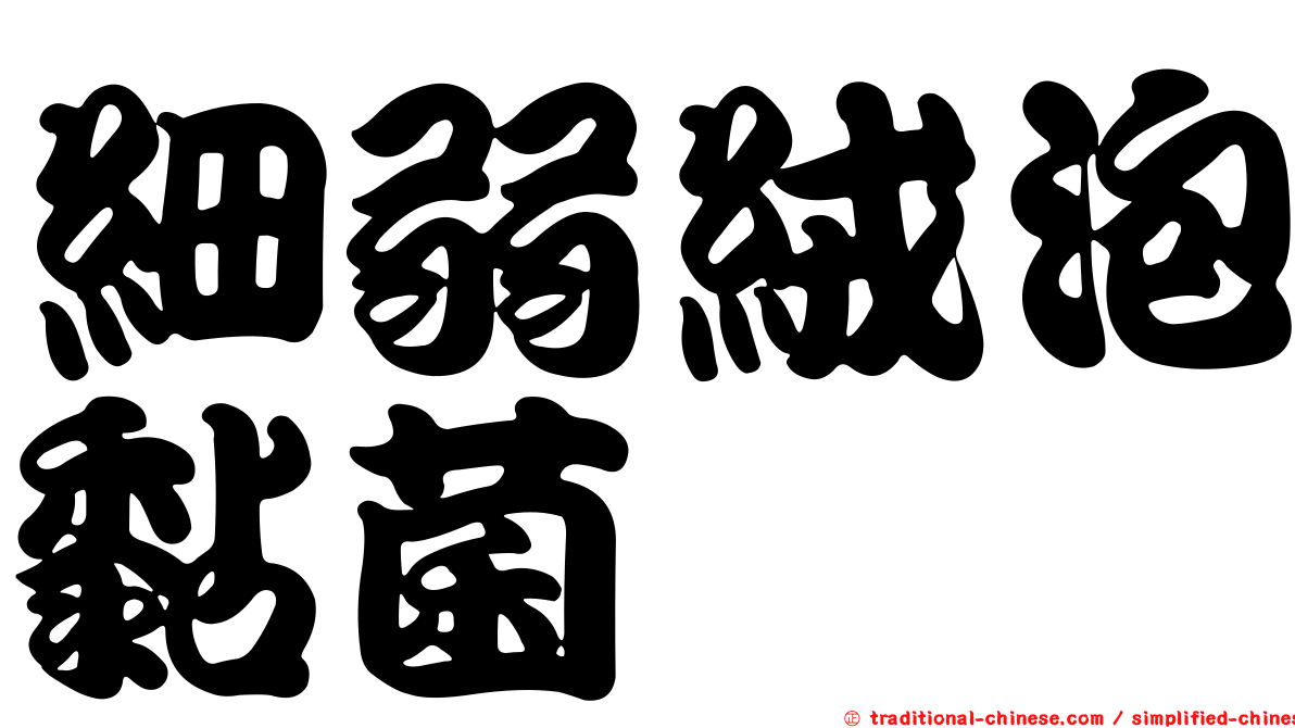 細弱絨泡黏菌
