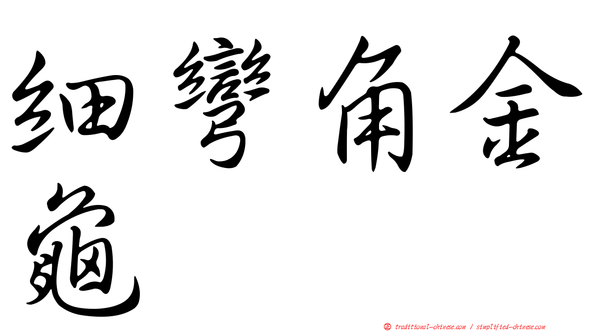 細彎角金龜