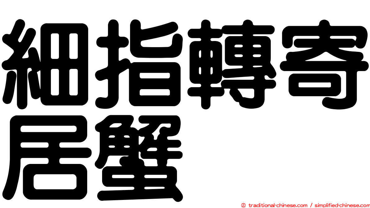 細指轉寄居蟹