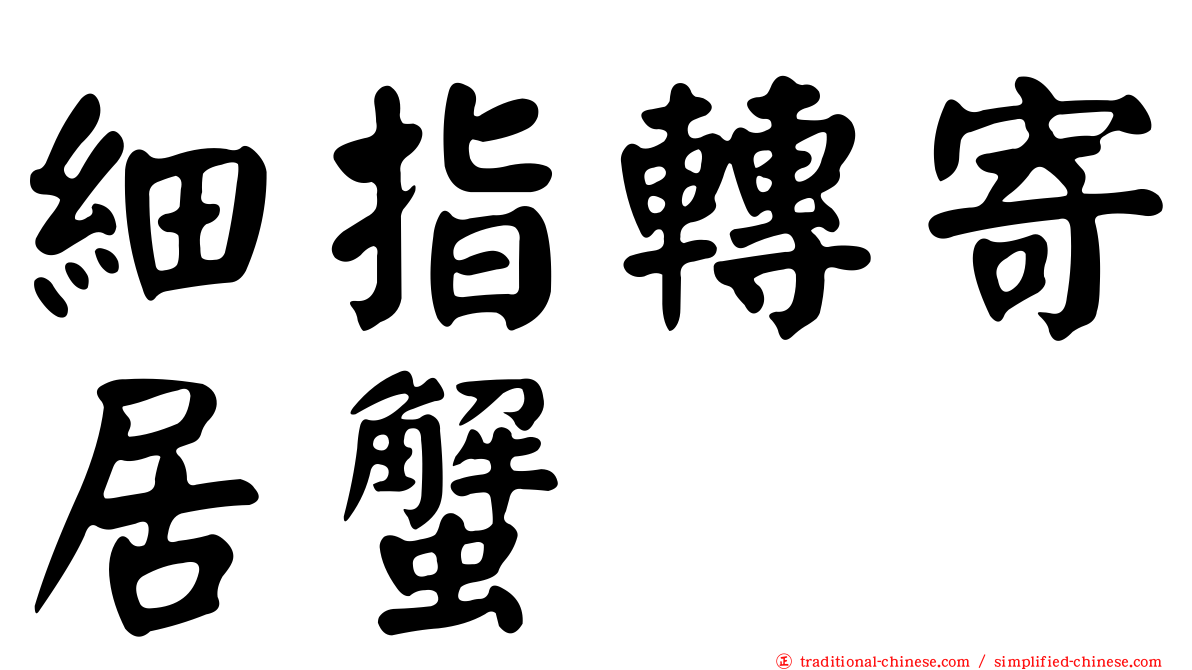 細指轉寄居蟹