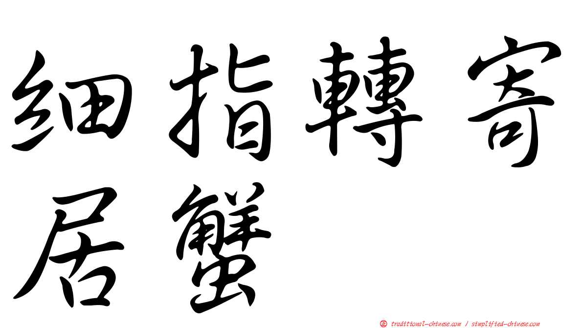 細指轉寄居蟹