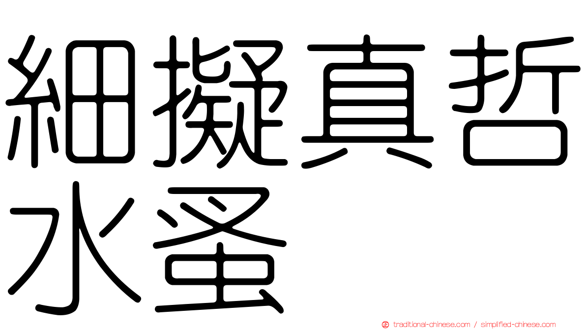 細擬真哲水蚤