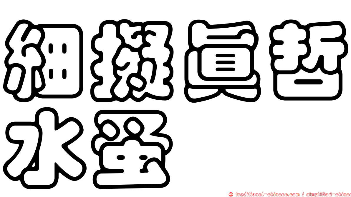 細擬真哲水蚤