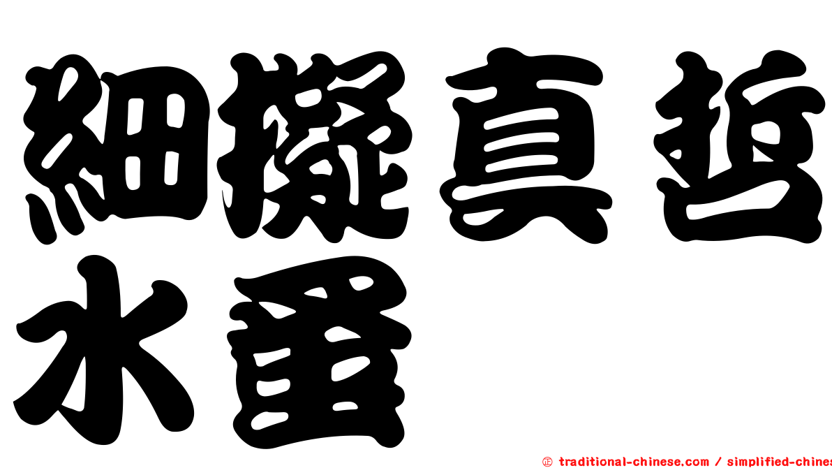 細擬真哲水蚤