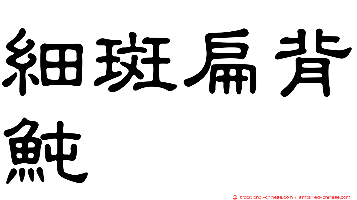 細斑扁背魨