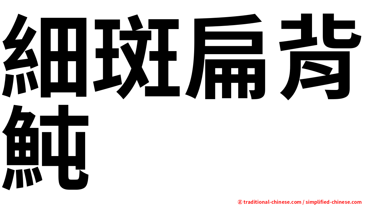 細斑扁背魨