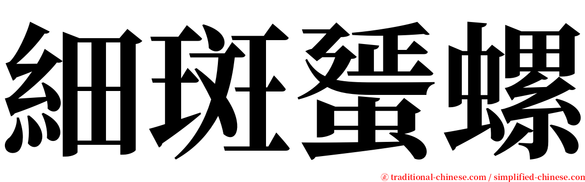 細斑蜑螺 serif font