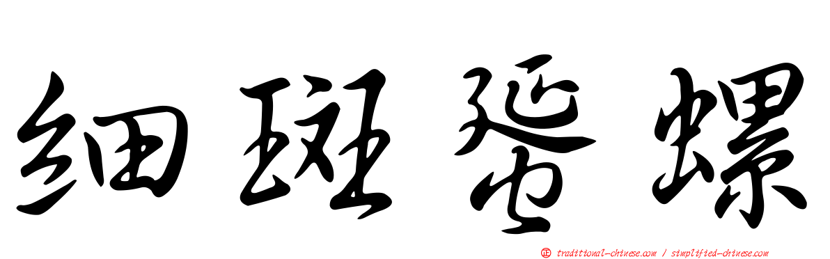 細斑蜑螺
