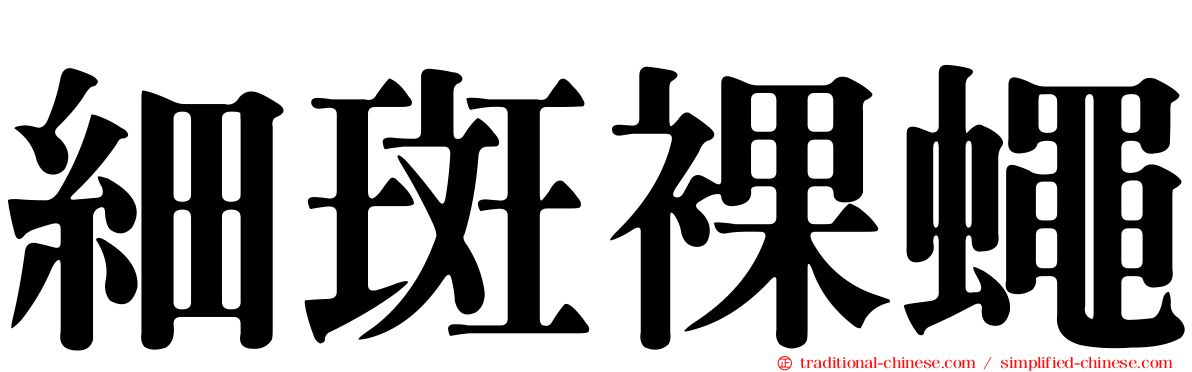 細斑裸蠅