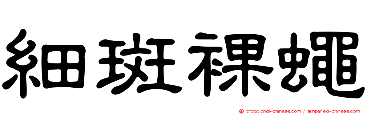 細斑裸蠅