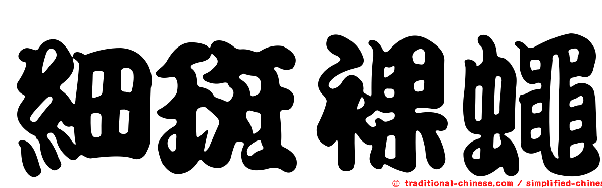 細斑裸蠅