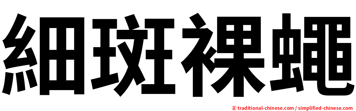 細斑裸蠅