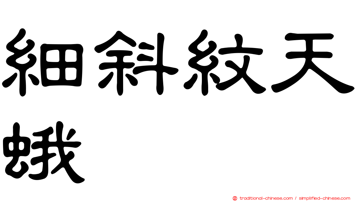 細斜紋天蛾