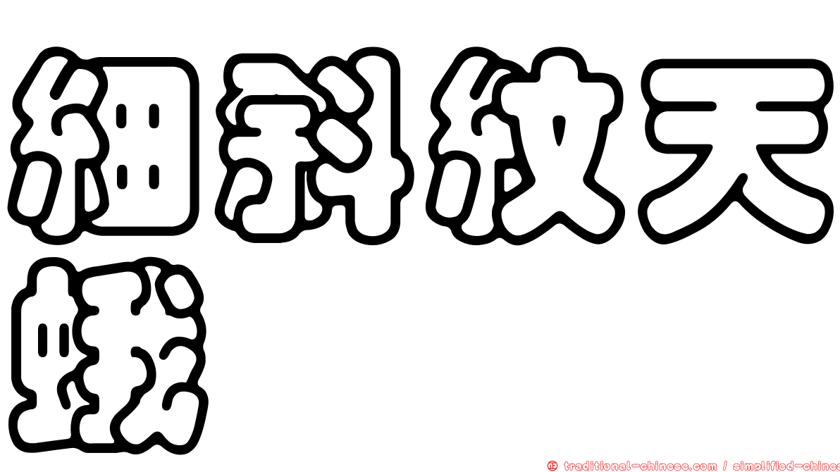 細斜紋天蛾