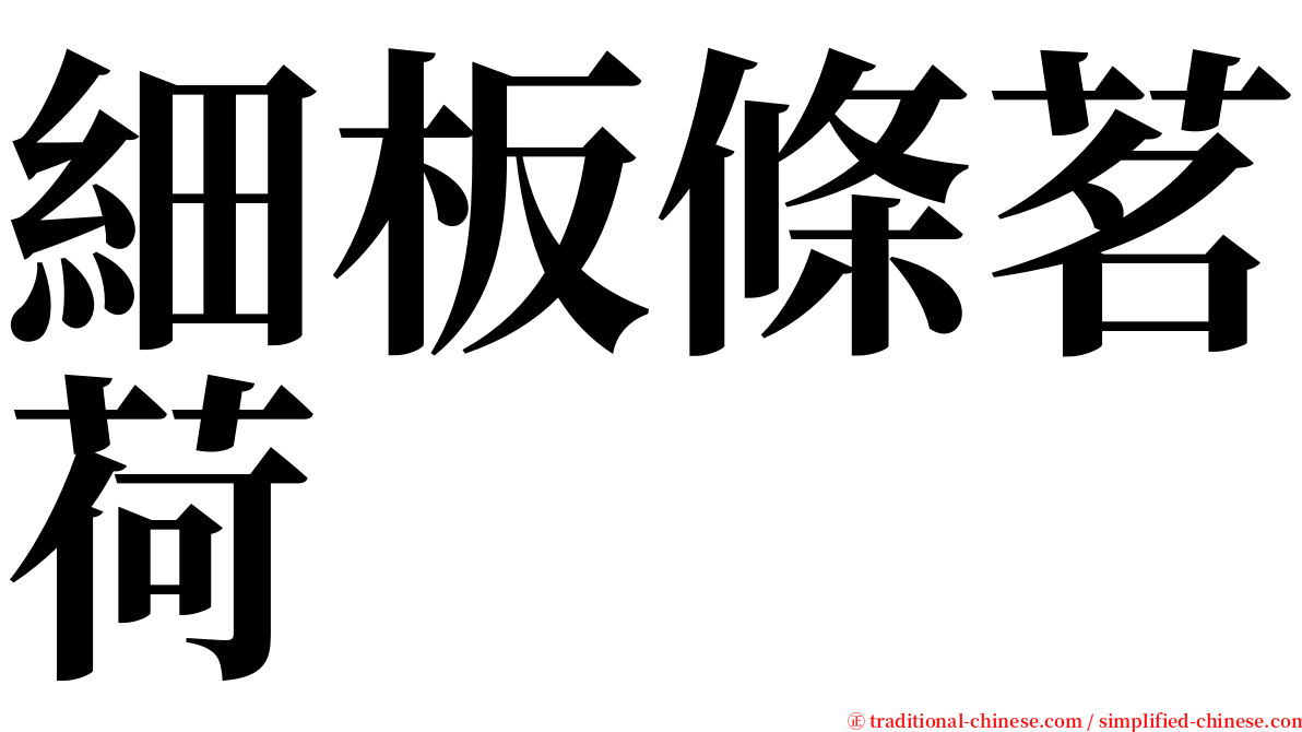 細板條茗荷 serif font