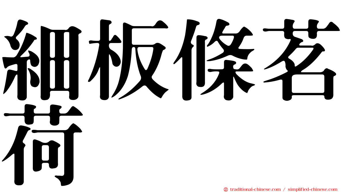細板條茗荷