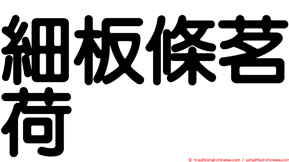 細板條茗荷