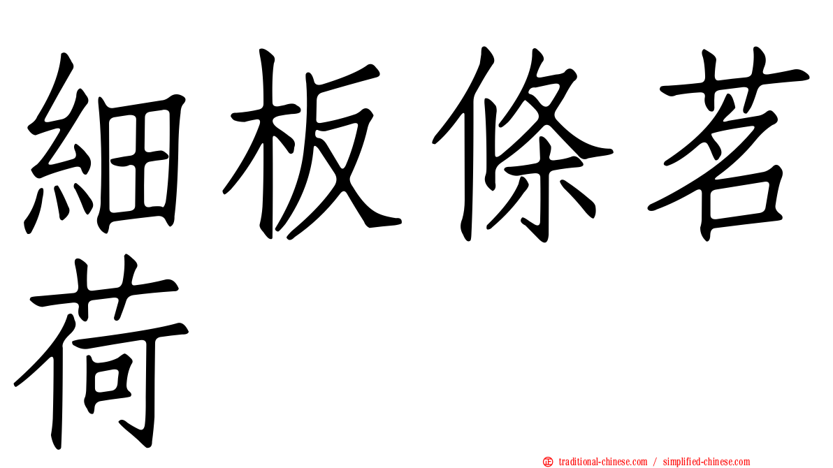 細板條茗荷