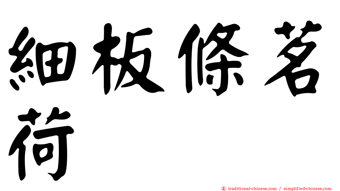 細板條茗荷