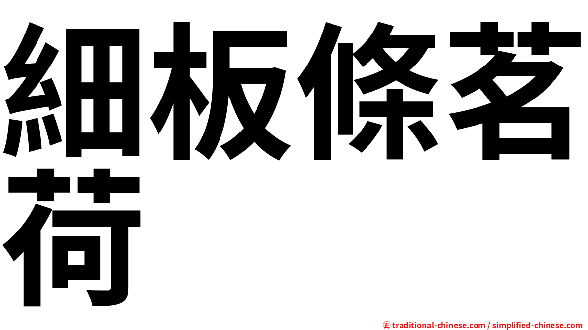 細板條茗荷