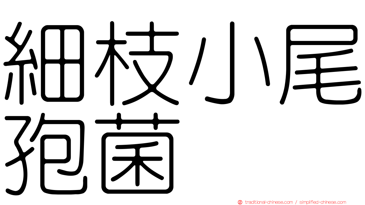 細枝小尾孢菌