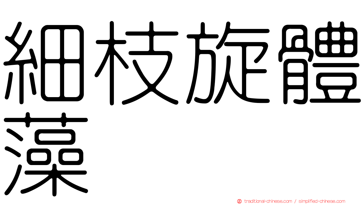 細枝旋體藻