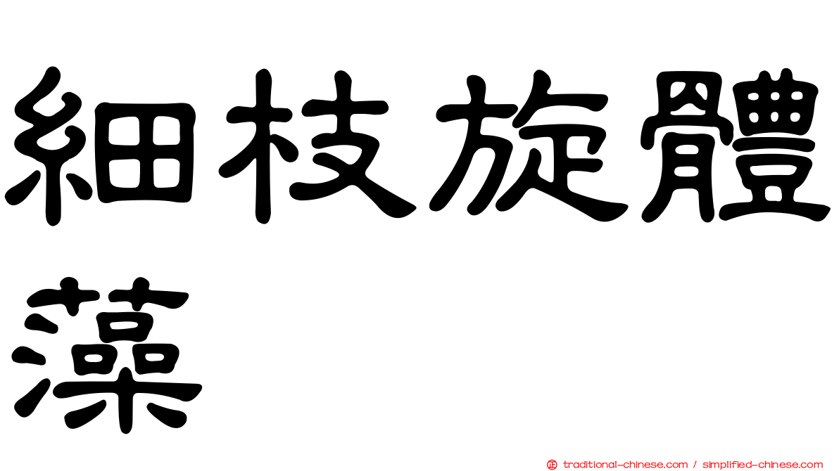 細枝旋體藻