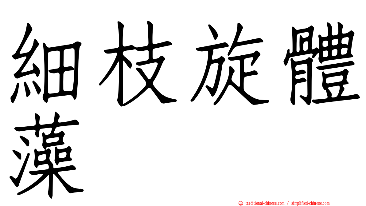 細枝旋體藻
