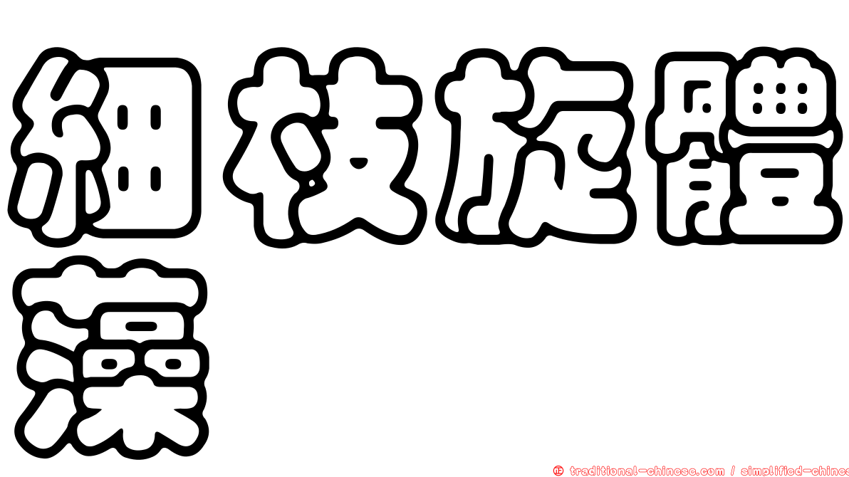 細枝旋體藻