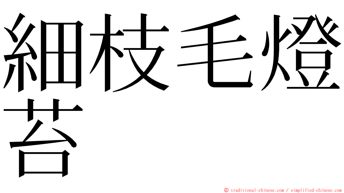 細枝毛燈苔 ming font