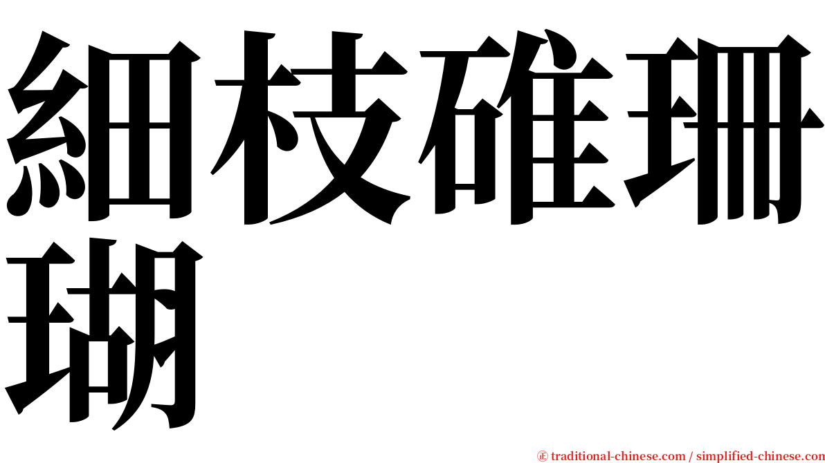 細枝碓珊瑚 serif font