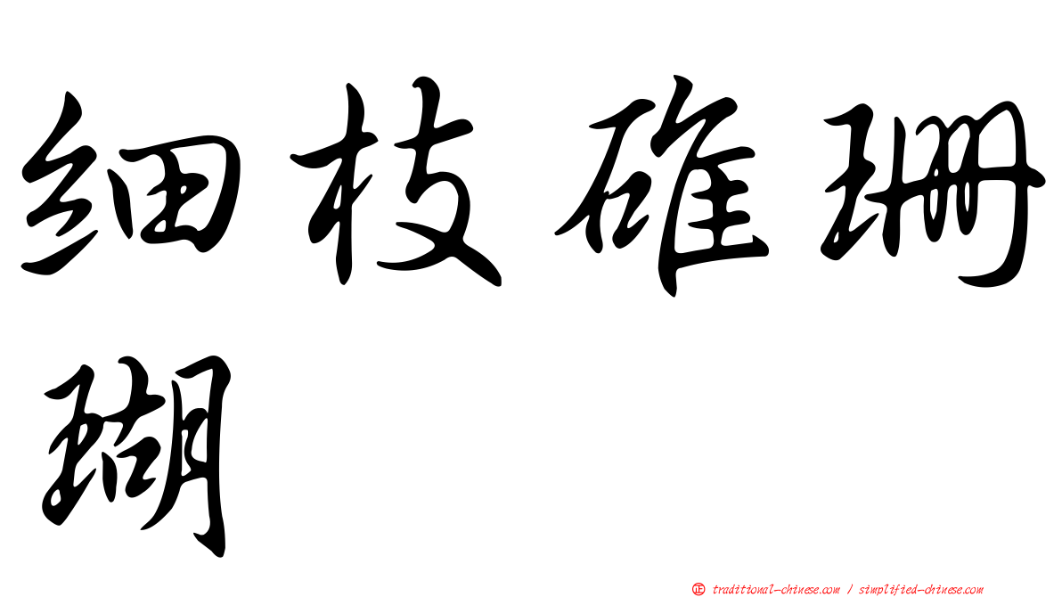 細枝碓珊瑚