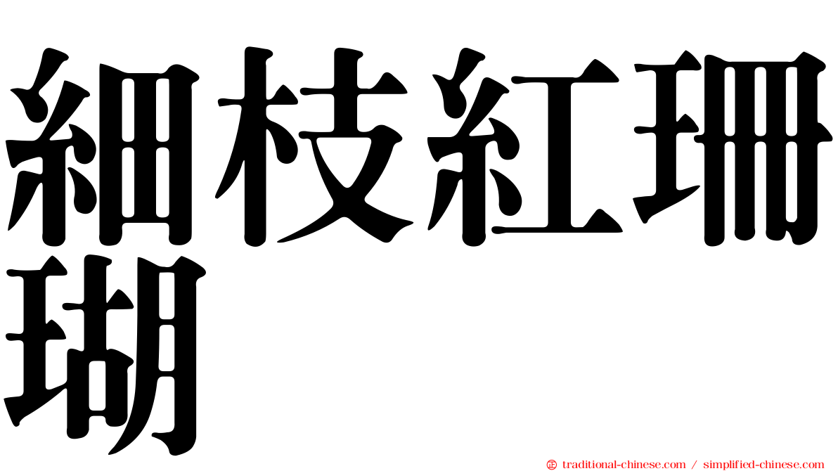 細枝紅珊瑚