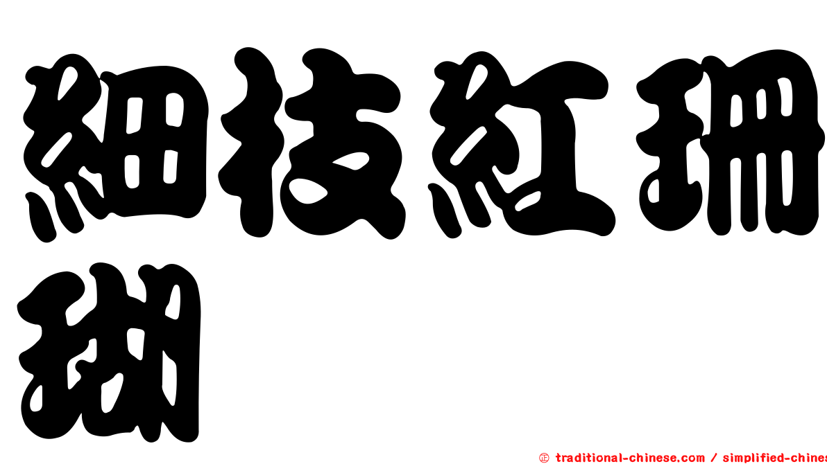 細枝紅珊瑚