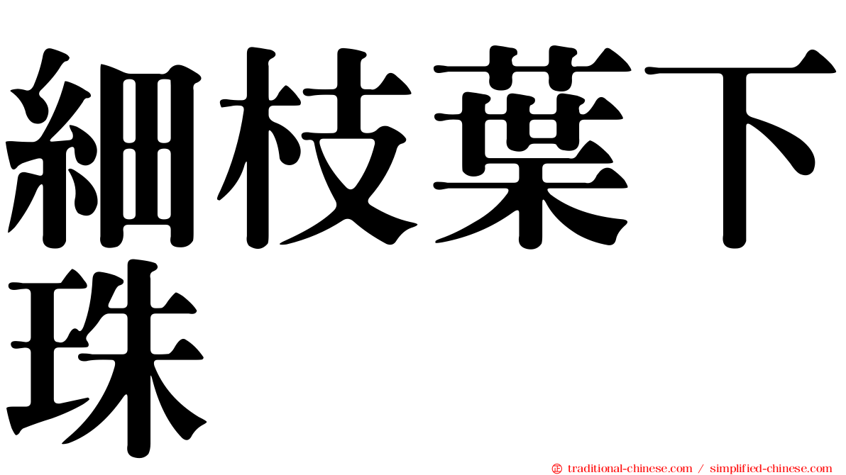 細枝葉下珠