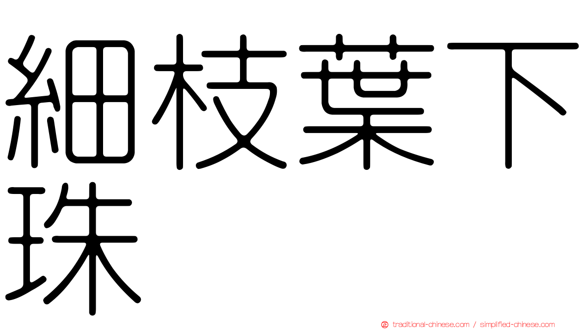 細枝葉下珠