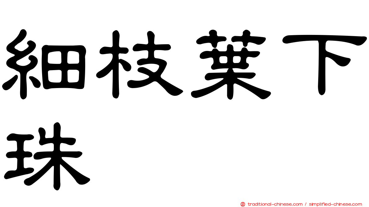 細枝葉下珠
