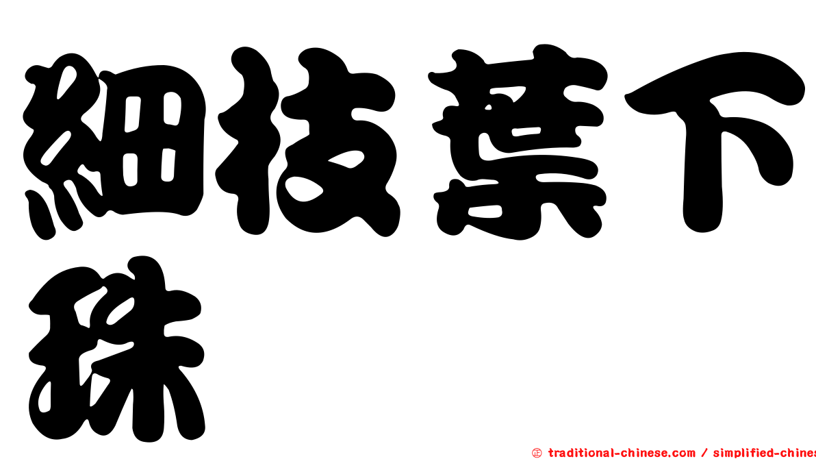 細枝葉下珠