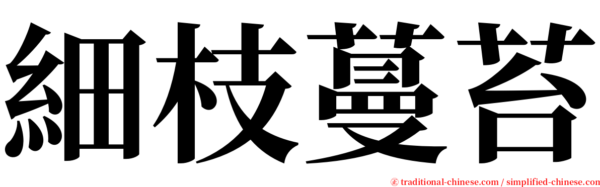 細枝蔓苔 serif font