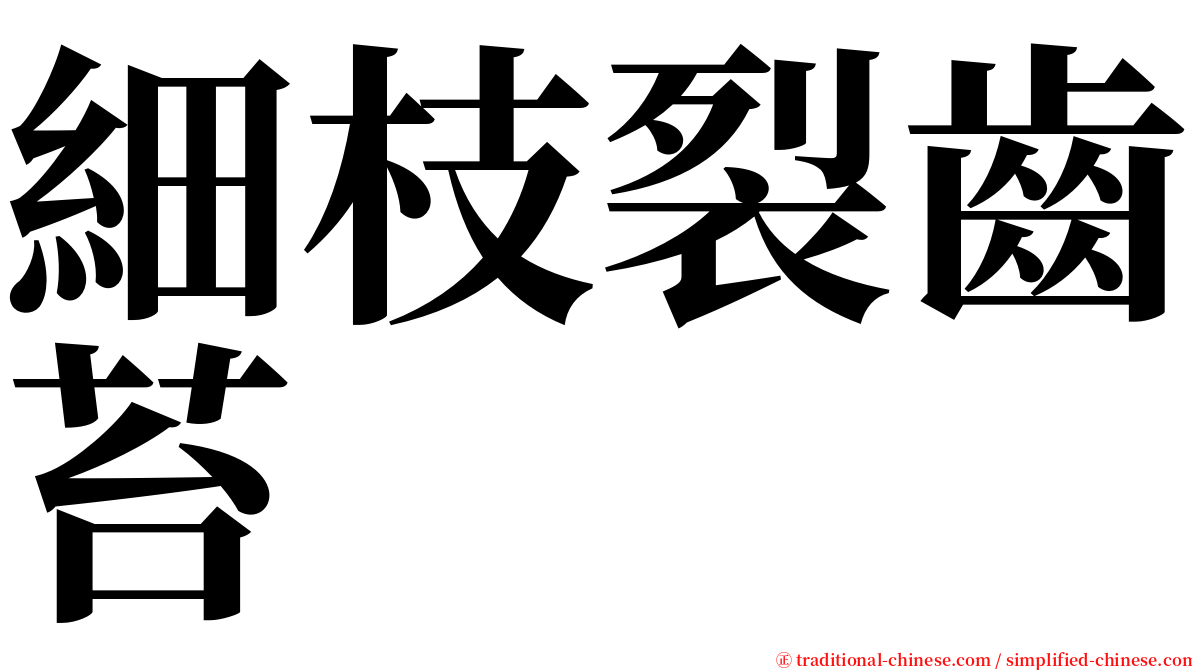 細枝裂齒苔 serif font