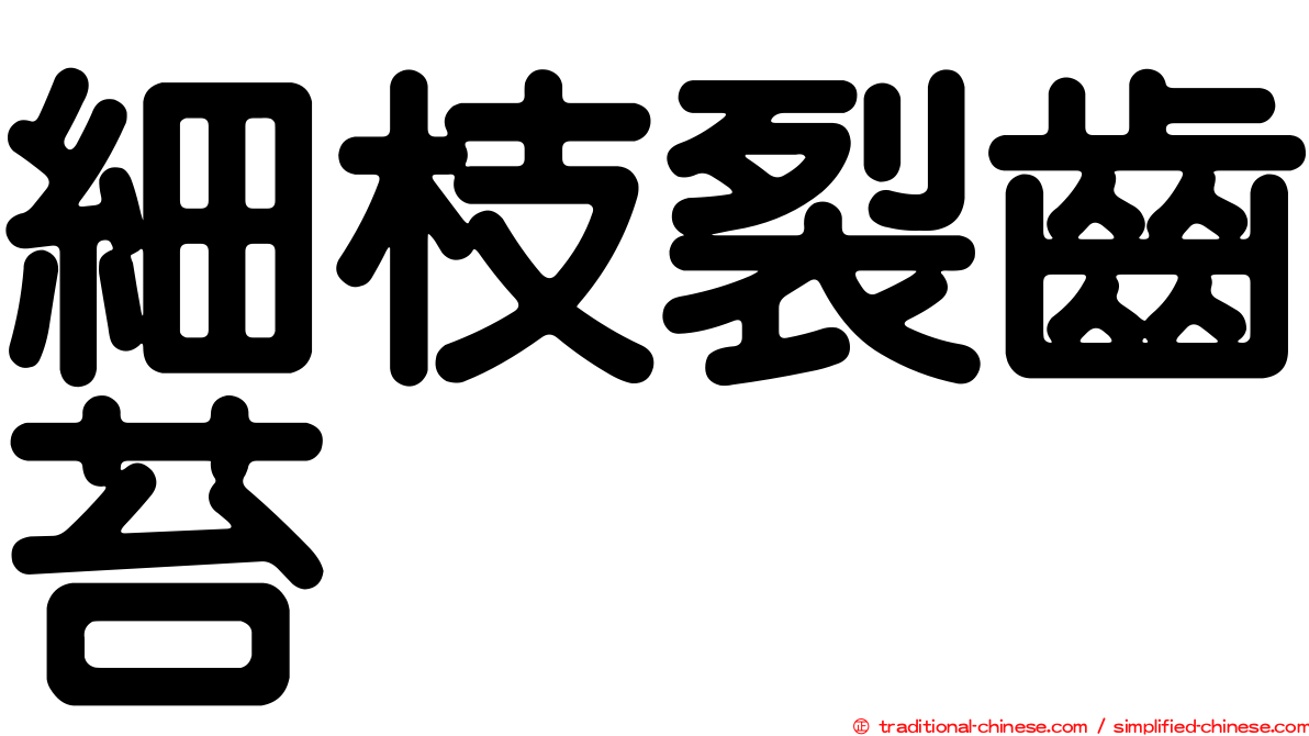 細枝裂齒苔
