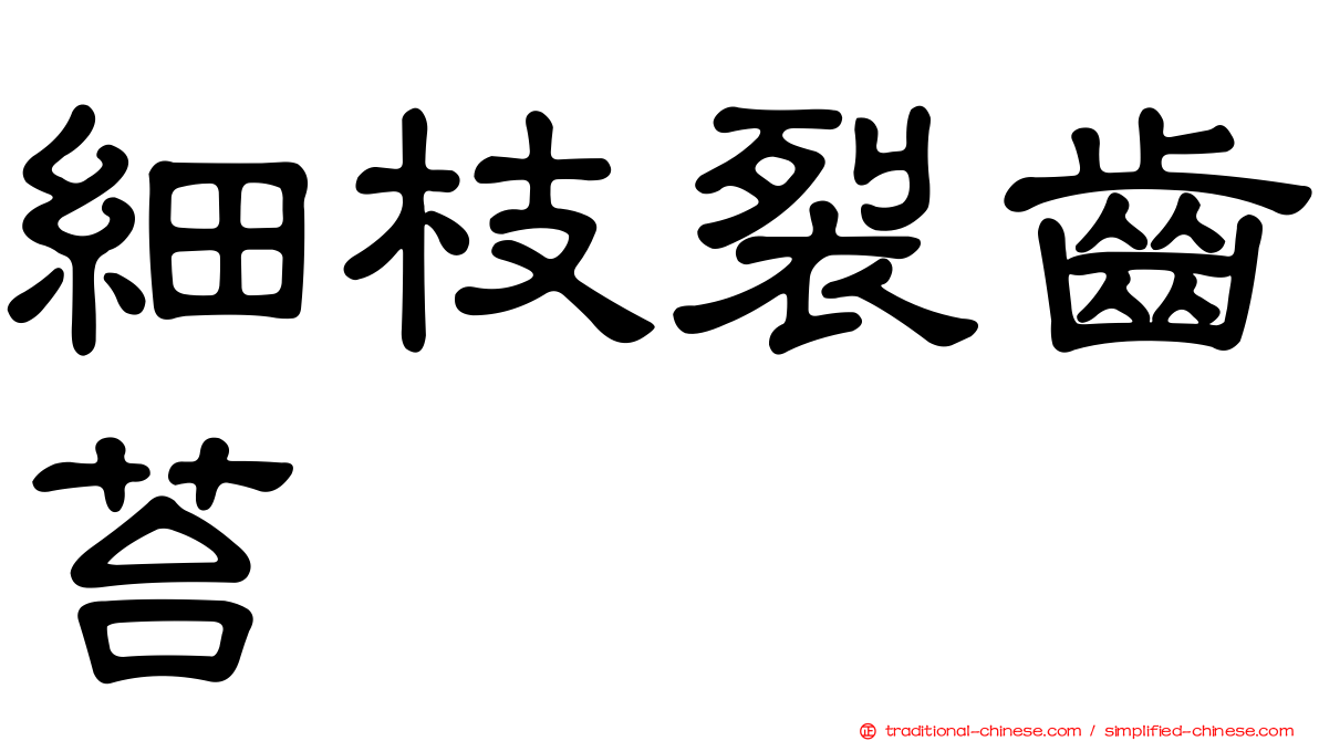 細枝裂齒苔
