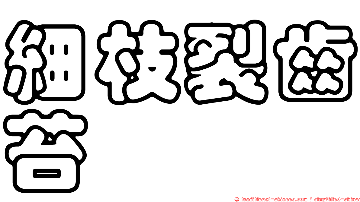 細枝裂齒苔