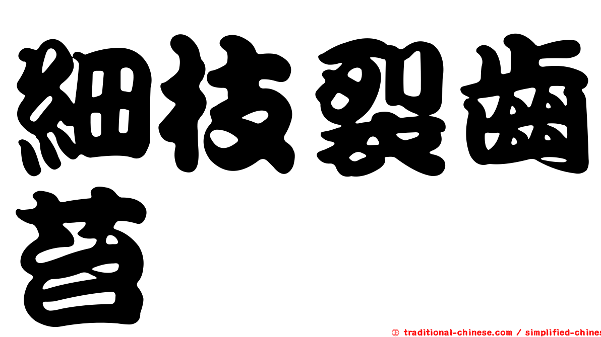 細枝裂齒苔