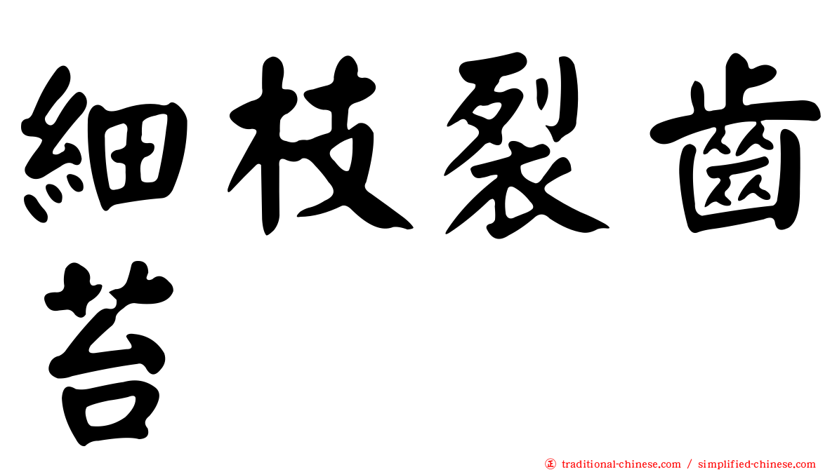 細枝裂齒苔